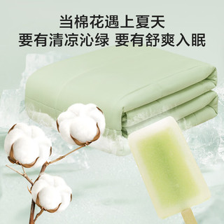 京东京造 亲亲被系列 可机洗棉花被 夏凉被空调被 200x230cm 沁绿