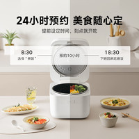 MIJIA 米家 Xiaomi 小米 others 其他 米家 电饭煲C1 PRO 4L