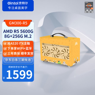 Gintol 京特尔 AMD迷你ITX组装电脑（5600G、8G、256G、ITX全套）