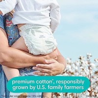 Pampers 帮宝适 Pure Protection 一次性婴儿尿布，6 号尿布，72 片，低敏感性（包装和印刷可能不同）