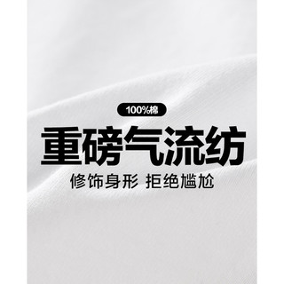 太平鸟男装2023年夏季新款重磅T恤刺绣男生短袖 白色（大阔） M