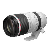 Canon 佳能 全画幅变焦镜头微单镜头RF100-500mm F4.5-7.1 L IS USM