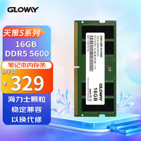 GLOWAY 光威 16GB DDR5 5600 笔记本内存条 天策S系列 海力士颗粒