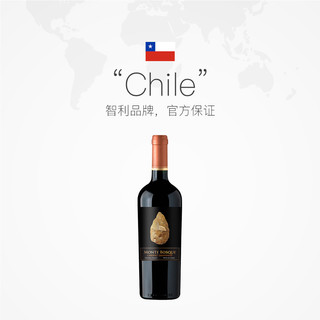 赛尚名庄 蒙宝石赤霞珠红酒智利进口美乐干红葡萄酒都沃酒庄