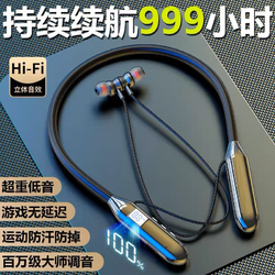 EARISE 雅兰仕 BT-2 挂脖式蓝牙耳机 标准黑