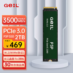 GeIL 金邦 2TB SSD固态硬盘 M.2接口PCIe 3.0（NVMe协议）台式机笔记本硬盘 高速3500MB/S P3P系列 TLC颗粒