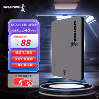 Great Wall 长城 256GB SSD固态硬盘 SATA3.0接口 GW560系列