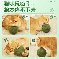 Hoopet 猫玩具自嗨解闷猫薄荷球超大逗猫棒耐咬木天蓼磨牙棒小猫咪的用品