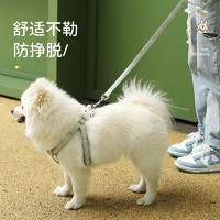 Hoopet 华元宠具（hoopet）狗狗胸背带牵引绳狗绳