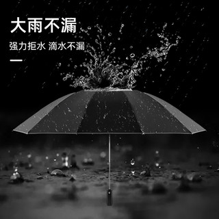 Baodini 宝迪妮 全自动大号雨伞加大加厚加固男士折叠暴雨专用晴雨两用遮阳伞男生