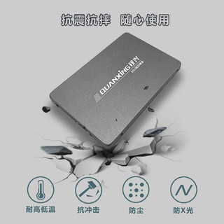 QUANXING 铨兴 SSD固态硬盘 2.5英寸SATA3.0接口 C201系列笔记本台式机升级 SATA C201系列 256G