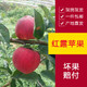 云南昭通 红露苹果   9斤装   单果75cm