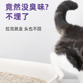 cature 小壳 猫砂豆腐膨润土小苏打混合猫砂可冲厕所 豆腐膨润土+小苏打 | 2.5kg*4袋