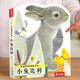 《小兔比利中英双语亮丽精美触摸书系列》