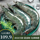 盐冻虾 4050大虾 14-17cm 净虾3.3斤+
