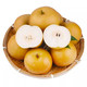 卉双  山东莱阳羊脂秋月梨   净重4.5-5斤6-11个