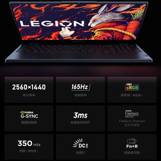 LEGION 联想拯救者R7000 七代锐龙版 15.6英寸 游戏本 灰色（锐龙R7-7735H、RTX 4060 8G、16GB、512GB SSD、2.5K、165Hz、83EF0000CD）
