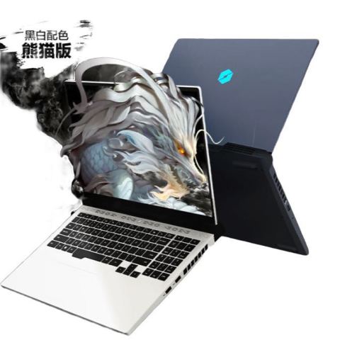 龍神レイキ 71CbEn9gsVL.jpg_BO30,255,255,