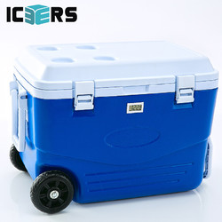 ICERS 艾森斯）PU保温箱药品胰岛素医用冷藏箱保鲜箱 50升 带温度计显示款 蓝白色