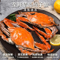 至鲜 梭子蟹2.6斤/6-8只整只当季液氮冷冻3-5两/只吕四黄海海鲜螃蟹新鲜