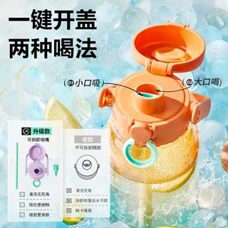 苏泊尔（SUPOR）水杯大容量塑料杯便携运动水壶Tritan高颜值吸管杯一盖双饮杯子 绿紫仙踪1000mL