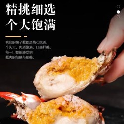 沢素湾 舟山梭子蟹 鲜活海鲜水产特大白蟹海蟹 精品蟹 3-5两/只 （6斤14-18只）