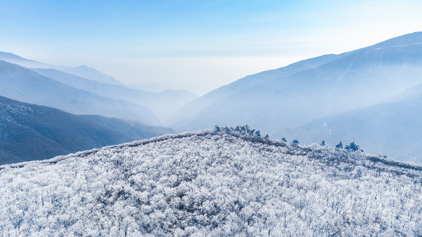 史低！周末不加价！错峰赏秋看雪囤！安吉英迪格酒店 森林景观大床房2晚连住（含双早+正餐+旅拍等）