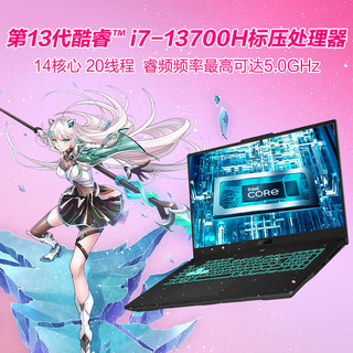 ASUS 华硕 天选4 Plus 13代英特尔酷睿i7 17.3英寸游戏本