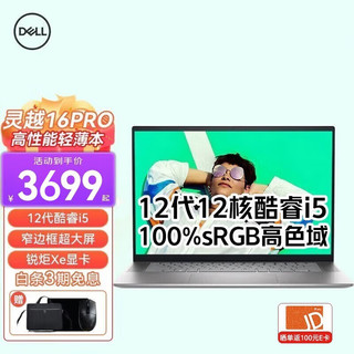 戴尔（DELL）灵越16pro 5620 16英寸12代酷睿轻薄家用网课商务办公笔记本电脑 16GB内存 1TB固态 锐炬Xe 定制 12代i5-1240P 背光键盘 银色