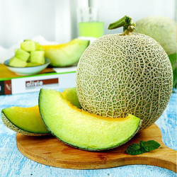 鲜其内蒙沙地牛3网纹蜜瓜整箱9斤