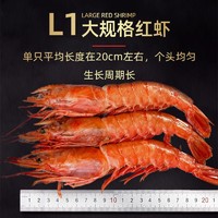首鲜道 阿根廷红虾L1级别大虾新鲜船冻净虾4斤原装虾