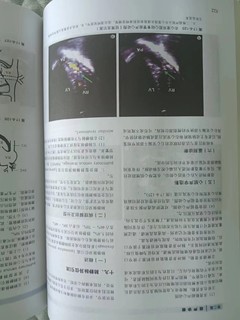 超声医学第六版 上下册 第6版  内有彩色图片 郭万学人民军医出版