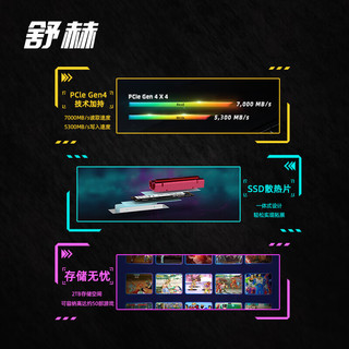 舒赫Superheer 长江存储TLC颗粒SSD固态硬盘PCIe 4x4通道NVMe协议M.2接口 JS750*PCle 4.0*电竞高速版 1TB