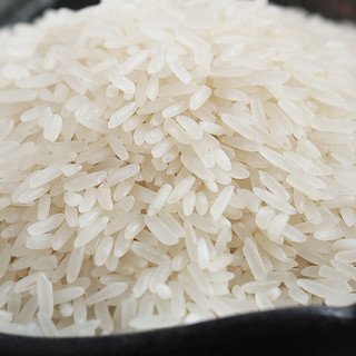 万年贡 南方大米 籼米 长粒大米 油粘米  非真空包装 田园香粘米5kg