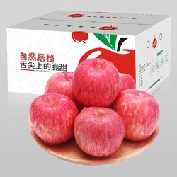 zirandadang 自然搭档 洛川红富士苹果 净重5斤一级大果85-90mm