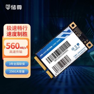 CHU ZUN 储尊 CZ）512GB SSD固态硬盘 mSATA接口 CS302系列 读速高达550MB/s