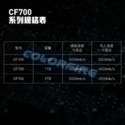 COLORFUL 七彩虹 镭风系列 M.2接口 NVMe PCIe4.0×4 台式笔记本固态硬盘 CF