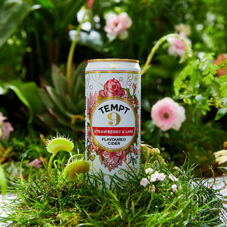 TEMPT西打果酒气泡甜酒微醺低度诱惑9号草莓橙子味330ml丹麦