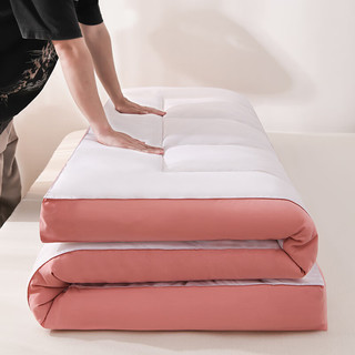 琳豆豆大豆纤维床垫床垫软垫家用褥子垫被学生宿舍单人租房地铺睡垫 立体床垫-白+粉 150*200cm8cm