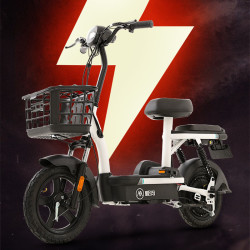 aima爱玛雷霆48v12铅酸通勤款团购电动自行车