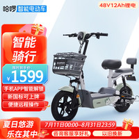 棒途哈啰电动车48V12Ah锂电可提电池电瓶车新国标电动自行车H3 SE绿白