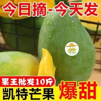 凯特芒果10斤四川攀枝花新鲜孕妇水果超甜特大青皮芒果9