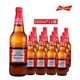  Budweiser 百威 啤酒玻璃瓶580ml*12瓶整箱　