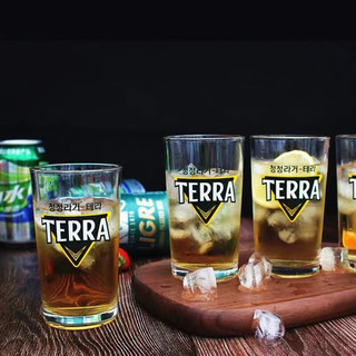 迎满鑫 韩式韩文印花炸鸡啤酒杯烧酒杯玻璃杯家用 TERRA啤酒杯1个