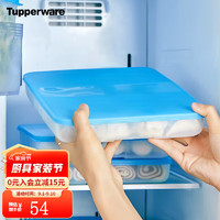 特百惠（Tupperware） 速冻饺子盒冰箱食品级收纳盒保鲜汤圆虾仁不粘密封套装1.3L 单个1.3L