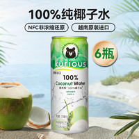 酷奇熊 100%纯椰子水330ml 越南原装进口椰青椰汁 NFC果汁 1听