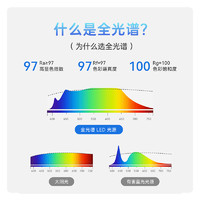 Yeelight 易来 20点:Yeelight 易来 全光谱C1筒灯Ra97 5W