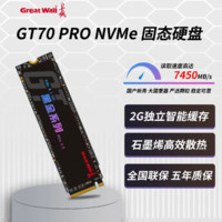 长城GT70 PRO 2T ssd固态硬盘NVMe pice4.0 2TB 台式机笔记本通用