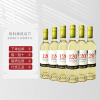 圣丽塔120长相思干白葡萄酒智利原瓶 750ml*6整箱装