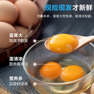 惠寻 京东自有品牌 新鲜谷物喂养初生蛋20枚800g 产地直发
